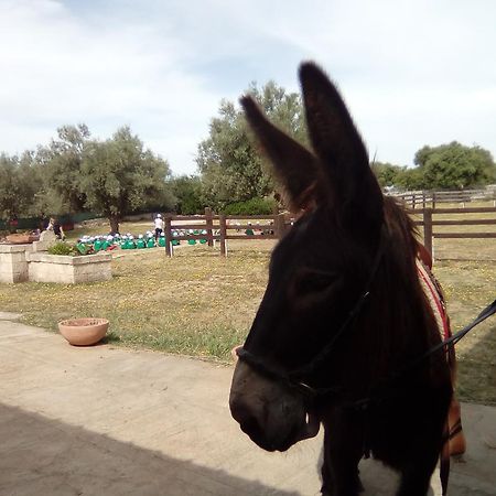 Agriturismo Agrimilo Villa Noto Kültér fotó