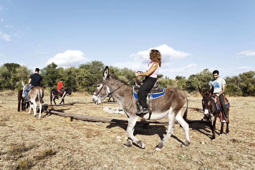 Agriturismo Agrimilo Villa Noto Kültér fotó