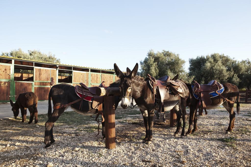 Agriturismo Agrimilo Villa Noto Kültér fotó