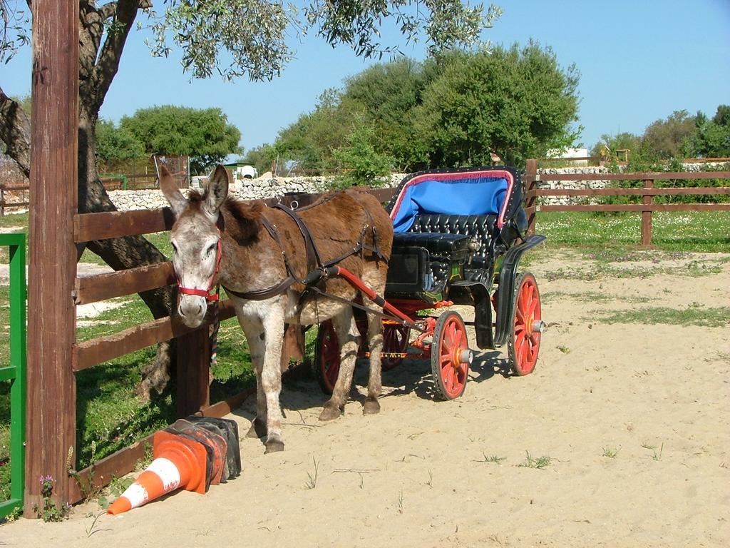 Agriturismo Agrimilo Villa Noto Kültér fotó