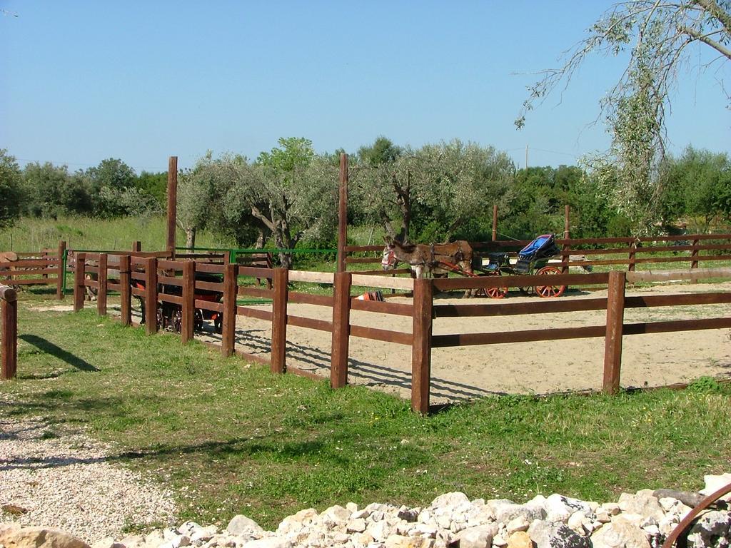 Agriturismo Agrimilo Villa Noto Kültér fotó